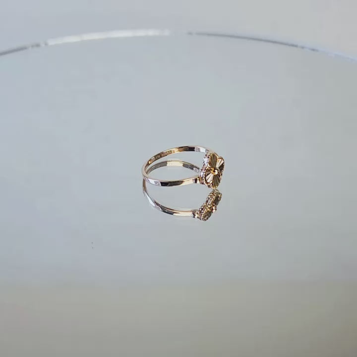 Luzia Rose Gold Ring 17K